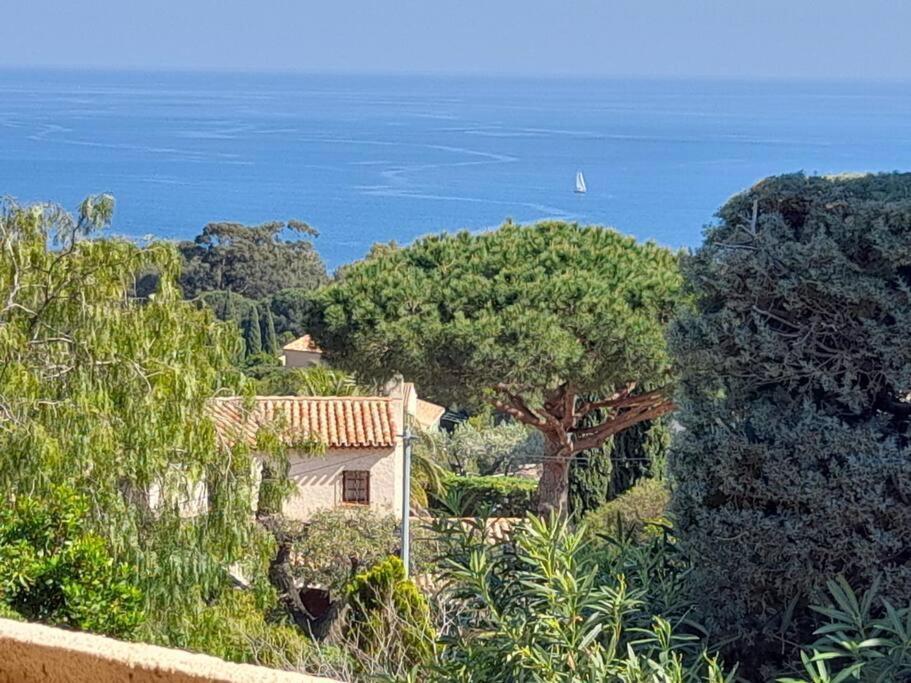 4-Star Private Villa With Heated Pool And Panoramic Sea View At Gulf De Saint Tropez Cavalaire-sur-Mer Exteriér fotografie